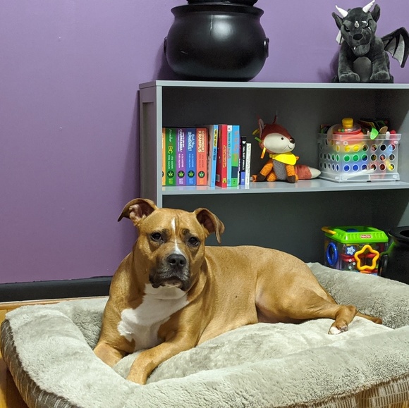 Meet your Posher, Isaiah - Picture 1 of 1